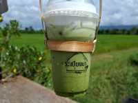 คาเฟ่บรรยากาศท้องทุ่ง @ ภูเขียว