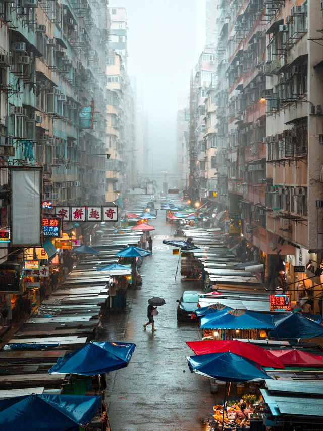 Monsoon Metropolis in Central Monsoon Metropolis in Central