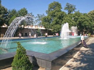 ​🌿 城市心臟地帶的歷史綠洲#加濟奧爾汗公園(Gazi Orhan Parkı) 土耳其布爾薩