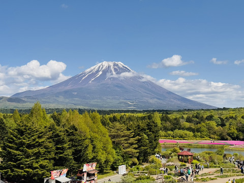 富士山的春日魔法：彼得兔英式花園＋富士芝櫻節指南｜Trip.com 富士