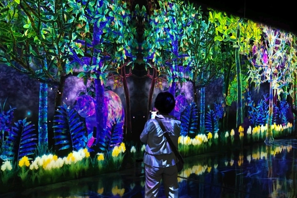 505 中国 湖北省産　アメジスト&アポフィライト デジタル万華鏡の中へ：チームラボフォレスト福岡で過ごす驚きの夜
