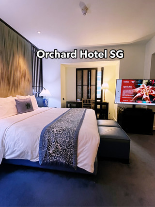 Orchard Hotel SG Upgrade🏨