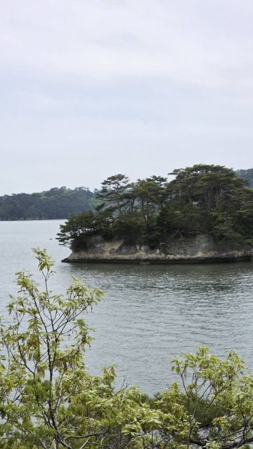 松島に立ち寄り観光。 | Trip.com 松島町
