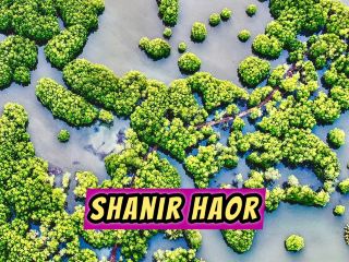 Shanir Haor In Sunamganj Bangladesh A 2 Days Complete Travel Itinerary
