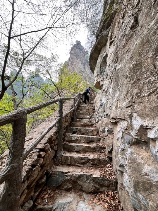 🌲 Yunmeng Mountain Royal Forest Park | A Breath of Nature
