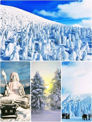 ZAO SNOW MONSTERS - JAPAN'S MOST MAGICAL WINTER WONDER