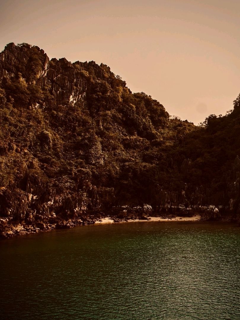  Sayulita Plaza to Carricitos Beach Jungle Trail Palm Surf Break — Free Plaza, S/0 Secluded Break?