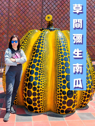 草澗瀰生南瓜打卡
