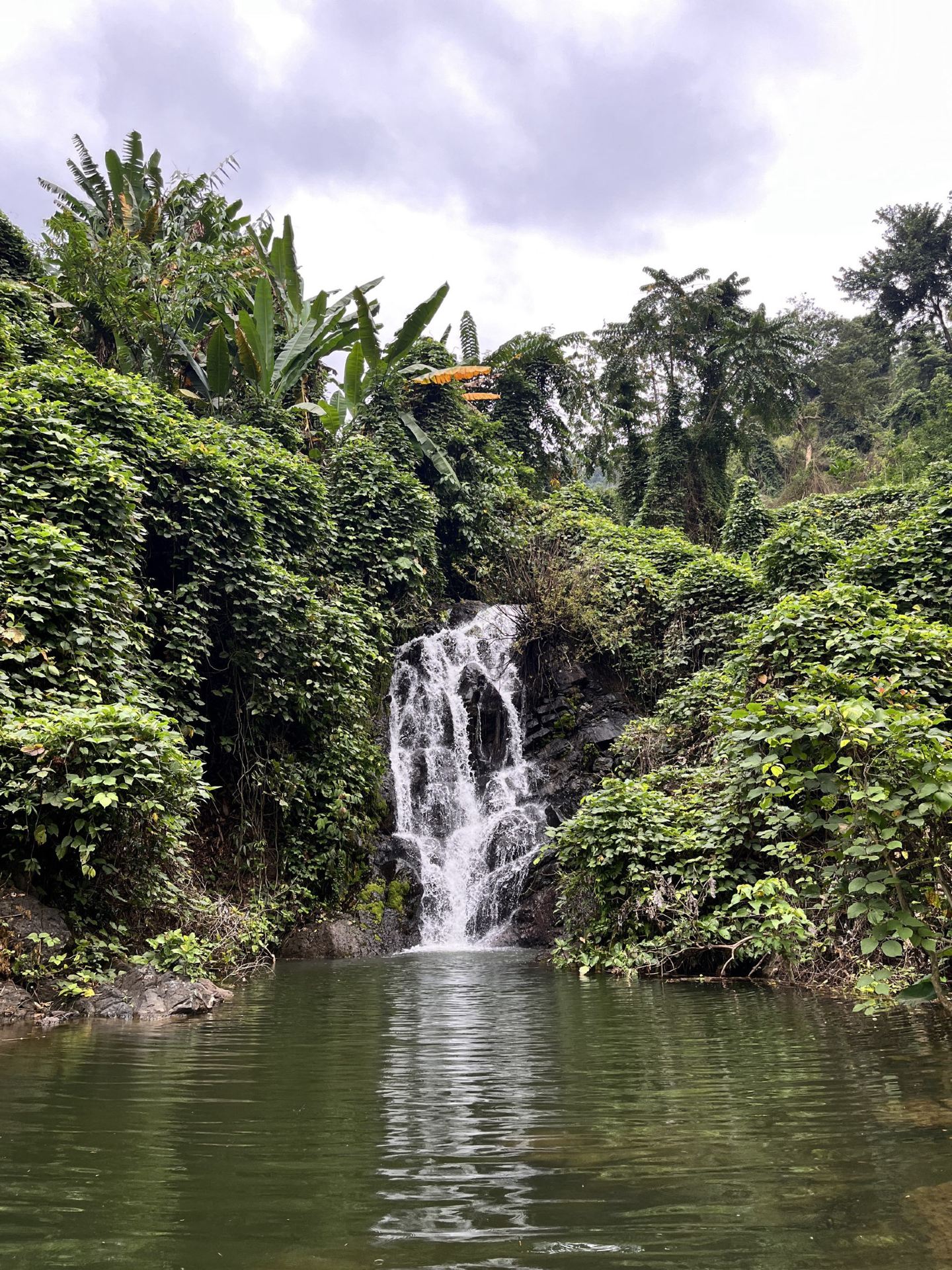 🌿 Srinagarindra Dam