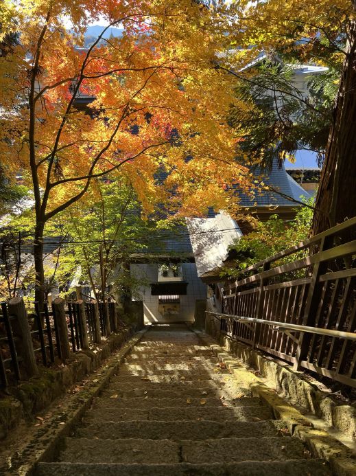 Unveiling the Hidden Autumn Foliage Routes of Takayama.