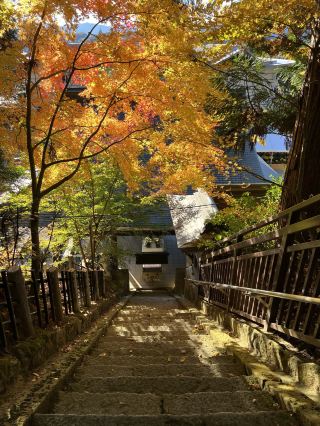 Unveiling the Hidden Autumn Foliage Routes of Takayama.
