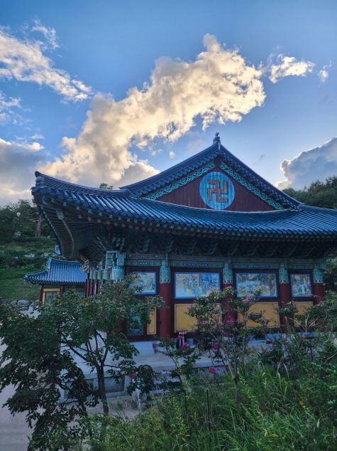 A sanctuary of healing by the deep blue East Sea! A temple where the sound of crashing waves meets a warm cup of tea. 🌊