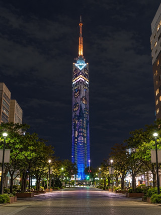 【Fukuoka Halloween 2026🎃】10 Great Places to Go! Pumpkin Light Show, Aquarium Nighttime Event, Witch's Afternoon Tea - All in One Go👻