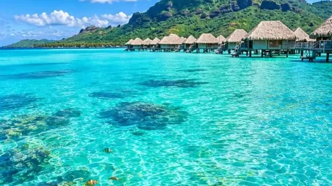 🌴 하와이 여행 가이드: 천국을 찾아서! 간편한 여행 일정, 교통편, 그리고 유용한 여행 팁 🌊 — traveler post in 힐로