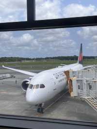 エアプレミアに初めて乗りました✈️