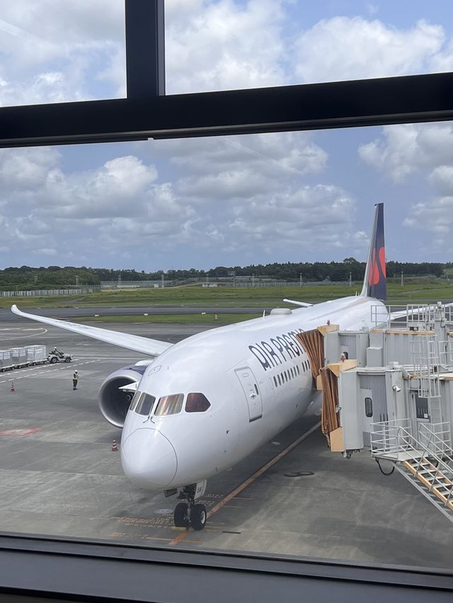 エアプレミアに初めて乗りました✈️