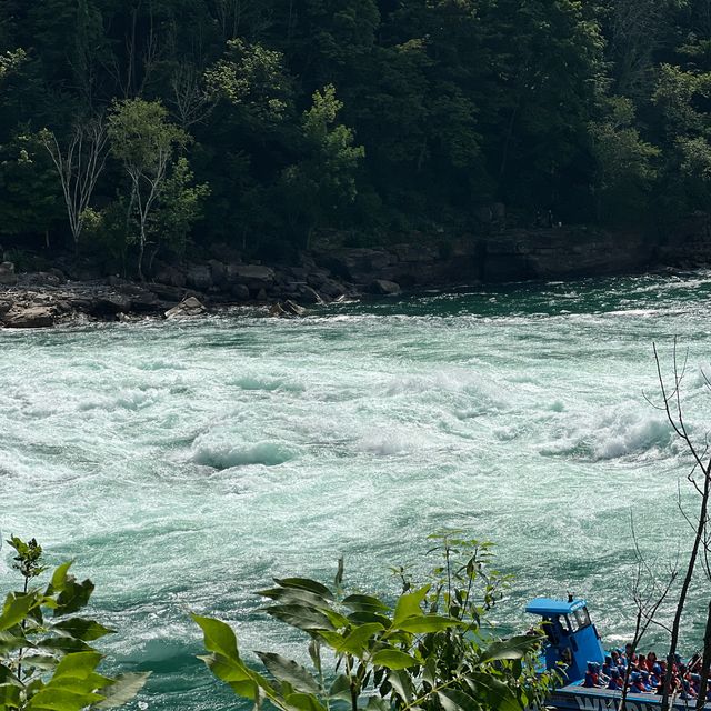 Buffalo: gorge hike