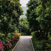 Small little park in Shenzhen ♥ 