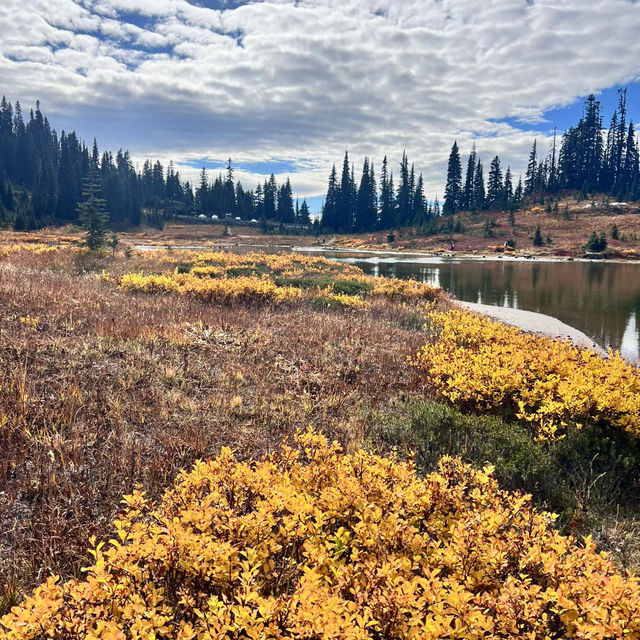 The natural beauty of Sunrise national Park 