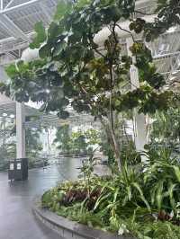 Add some greenery to the trip