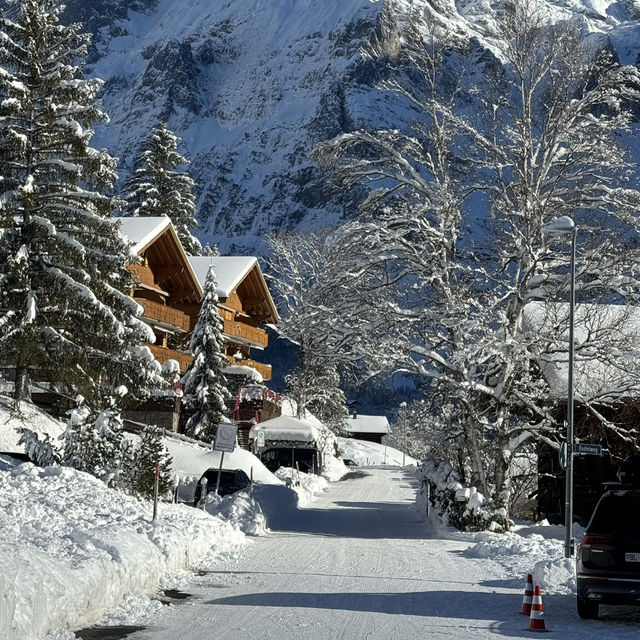 🇨🇭瑞士雪場推薦！新手/高手/進階/雪橇🏂🎿