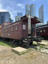 CN tower, train and tasty bites! 