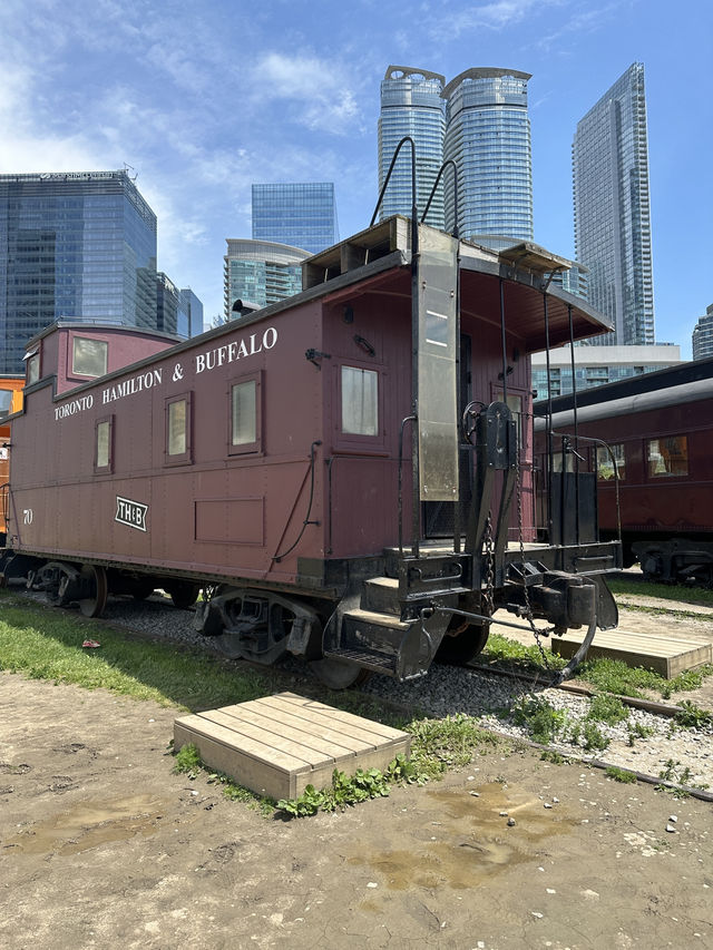 CN tower, train and tasty bites! 