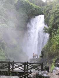 It would be good to go with Otavalo market 