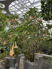 Shanghai Greenhouse Garden