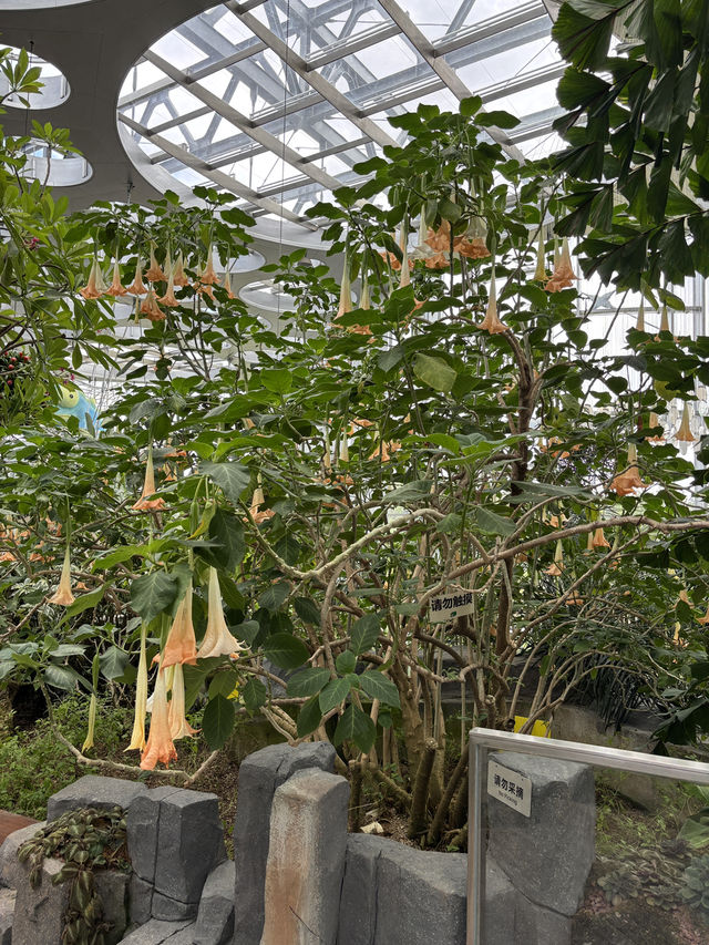 Shanghai Greenhouse Garden
