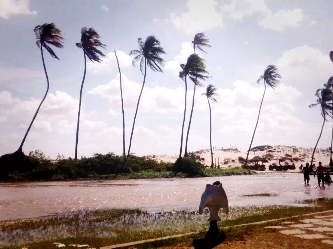 Sun-Soaked Adventures in Natal: Beach, World Record Tree, & History Vibes ☀️🌴