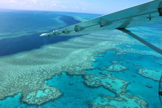 🇦🇺 🌴 🐠 🦘 🚁 【熱帶大自然冒險 ‧ 門戶之都】凱恩斯熱門景點與特色體驗全攻略 🚁 🦘 🐠 🌴 🇦🇺