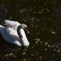 Tierpark … Wonderful park Greifswald