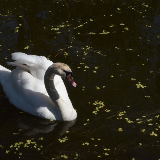 Tierpark … Wonderful park Greifswald