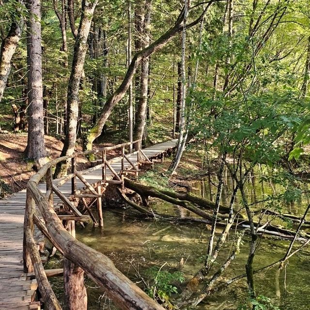 克羅埃西亞🇭🇷普利特維採湖群國家公園 ｜ 防君子不防小人😤自由行🚶🏼