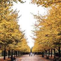 Autumn in London: Embracing the Season