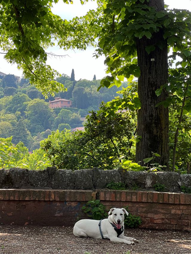 🇮🇹 볼로냐 전망을 볼 수 있는 뷰맛집 공원