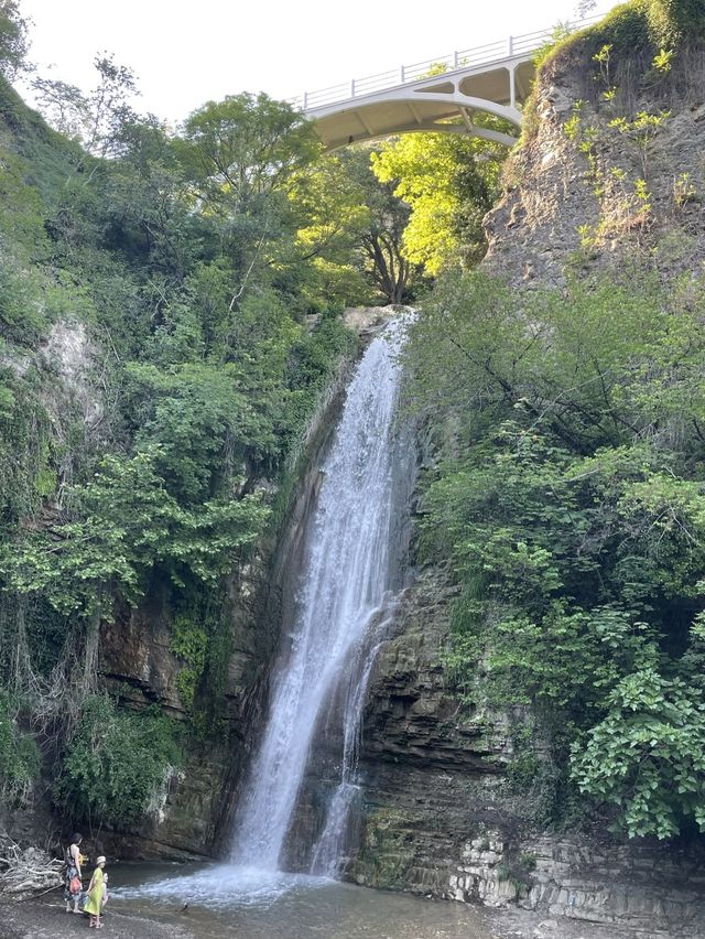 【ジョージア🇬🇪/自然豊かな巨大な植物園 】