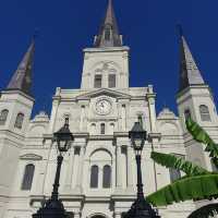 The Heartbeat of New Orleans' French Quarter