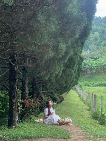 🌲무조건 가야할 치앙마이카페🌲