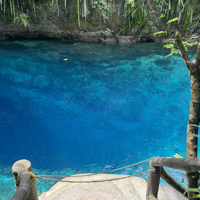 Enchanted River