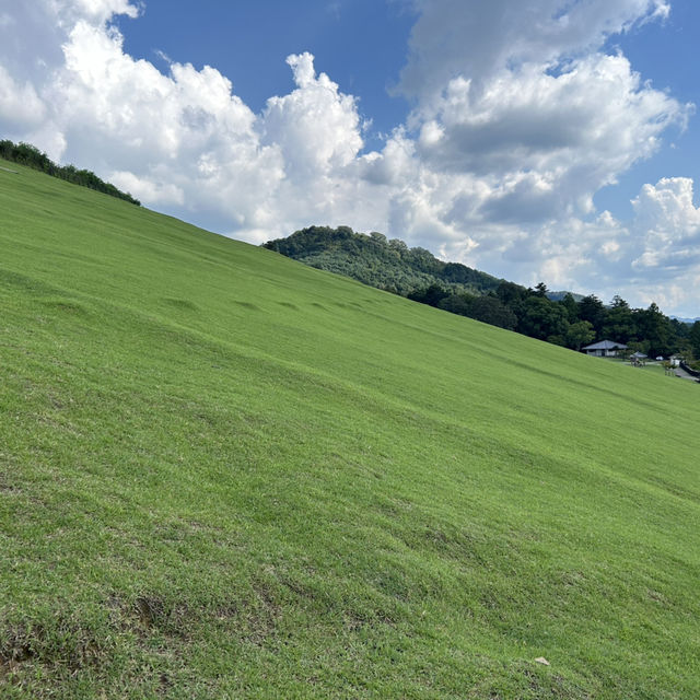 A must-visit to Mount Wakakusa in Japan! ⛰️ 
