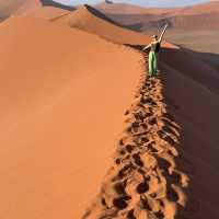 Namib desert