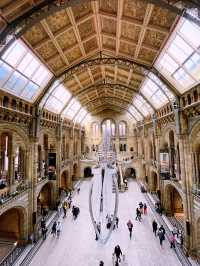 A Perfect Family Day Out at the Natural History Museum, London 