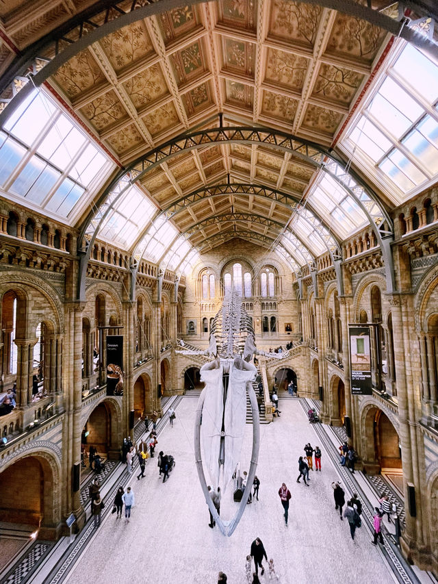 A Perfect Family Day Out at the Natural History Museum, London 