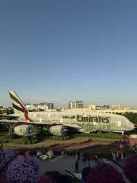 Dubai Miracle Garden: A Floral Wonderland! 🌸✨🇦🇪