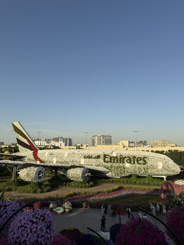 Dubai Miracle Garden: A Floral Wonderland! 🌸✨🇦🇪