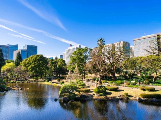 Hibiya Park: Tokyo's urban oasis!