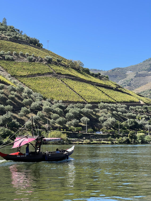 Douro Valley: Portugal’s Breathtaking Wine Wonderland
