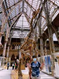 🦖 Oxford University Museum of Natural History: A Timeless Adventure!